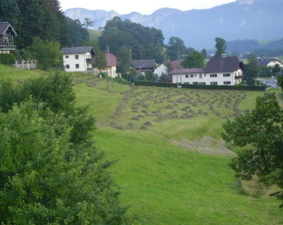 Villa Bauernhof Kasleitner Zell am Moos Esterno foto