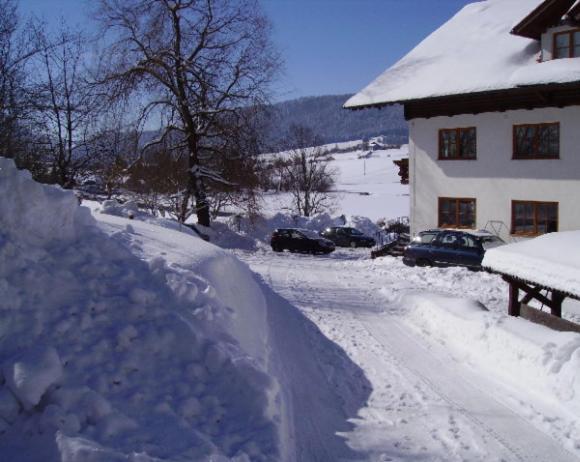 Villa Bauernhof Kasleitner Zell am Moos Esterno foto