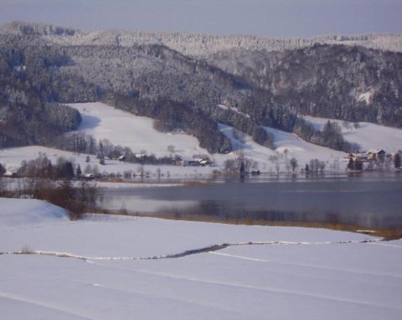 Villa Bauernhof Kasleitner Zell am Moos Esterno foto