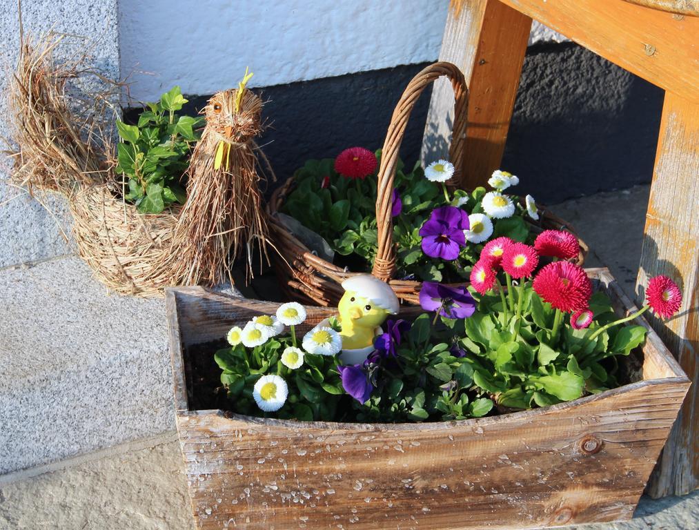 Villa Bauernhof Kasleitner Zell am Moos Esterno foto