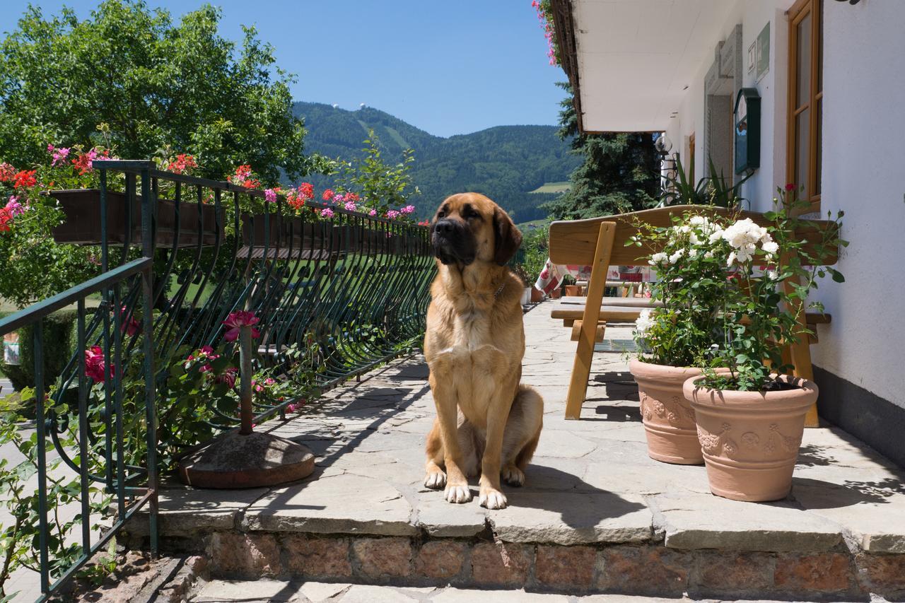 Villa Bauernhof Kasleitner Zell am Moos Esterno foto