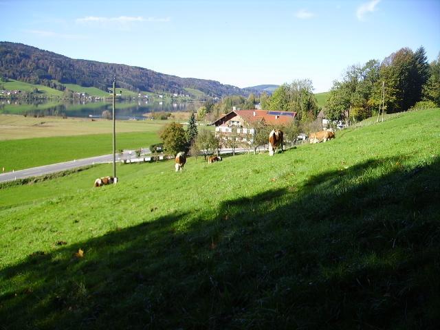 Villa Bauernhof Kasleitner Zell am Moos Esterno foto